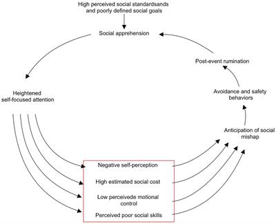 Development of social anxiety cognition scale for college students: Basing on Hofmann’s model of social anxiety disorder